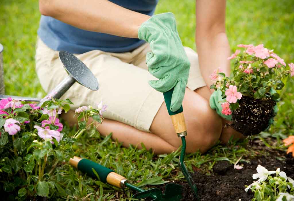 Gardening Tips For New Gardeners